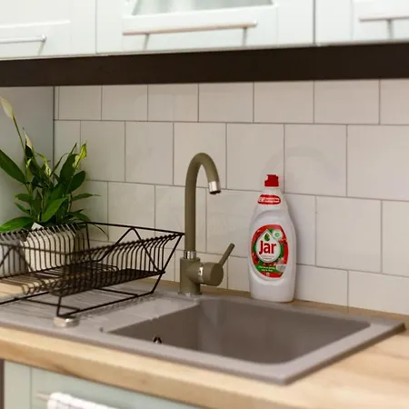 Danube Waterfront View At Chain Bridge *