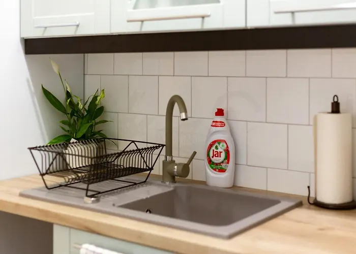 Danube Waterfront View At Chain Bridge *